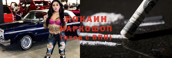 прущие грибы Вязники