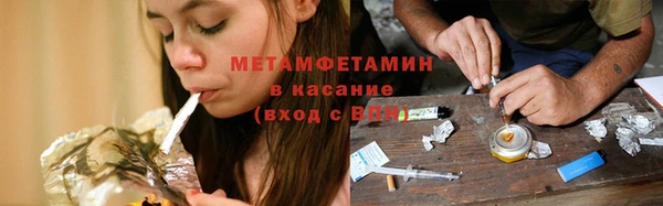 прущие грибы Вязники