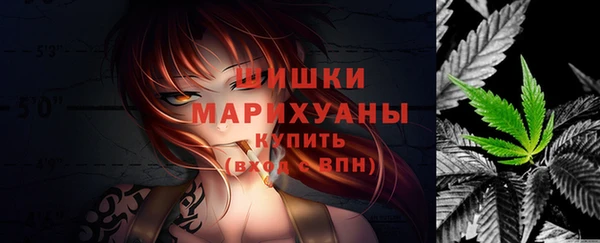 прущие грибы Вязники