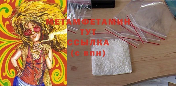 прущие грибы Вязники