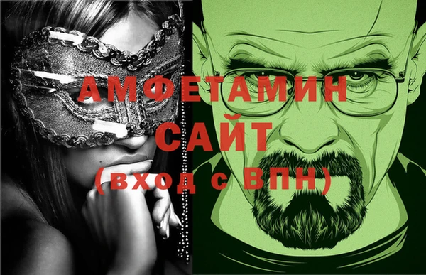 прущие грибы Вязники