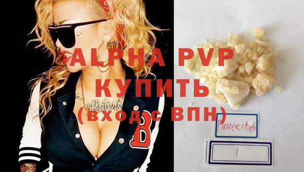 прущие грибы Вязники