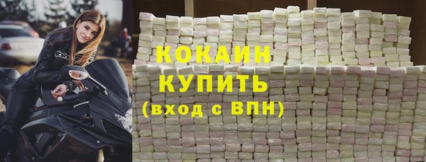 прущие грибы Вязники