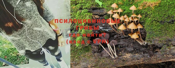 гидропоника Вязьма