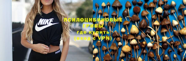 гидропоника Вязьма