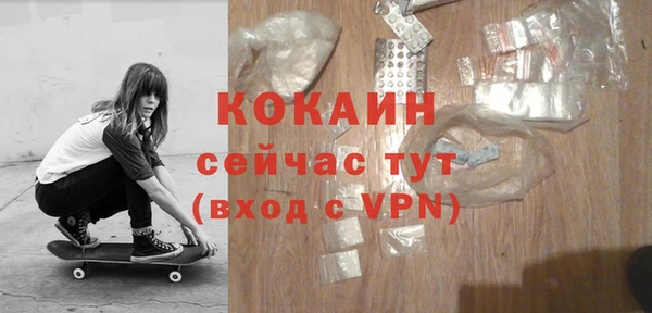 прущие грибы Вязники