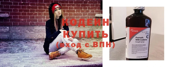 прущие грибы Вязники